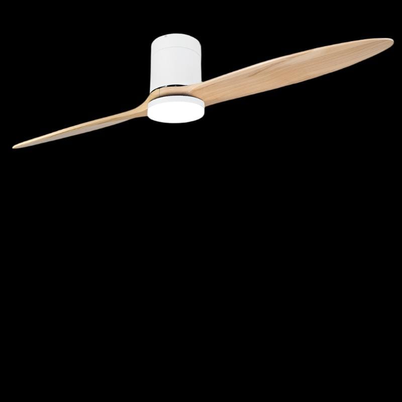 Mesedu | Big Ceiling Fan