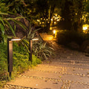 Arianna | Outdoor Pathway Light