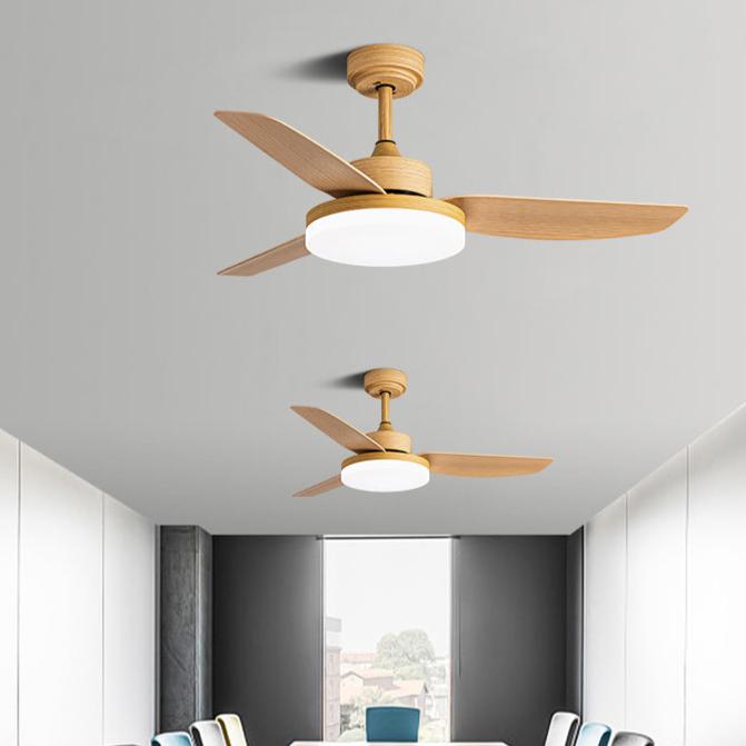 Lakatos | Lighted Ceiling Fan