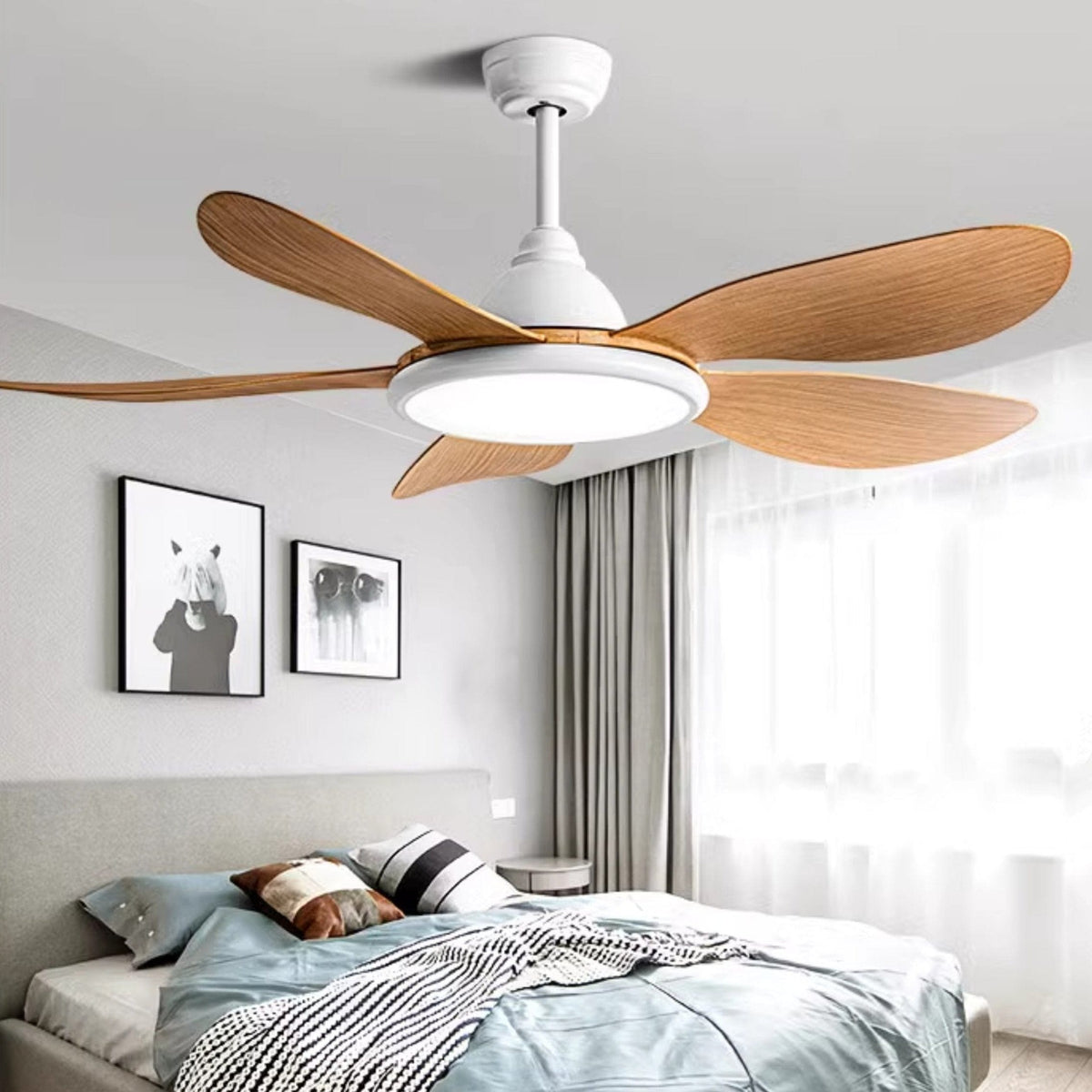 Lacey | Lighted Ceiling Fan - Home Cartel ®