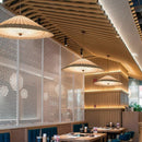 Skylar Deux | Big Pendant Light