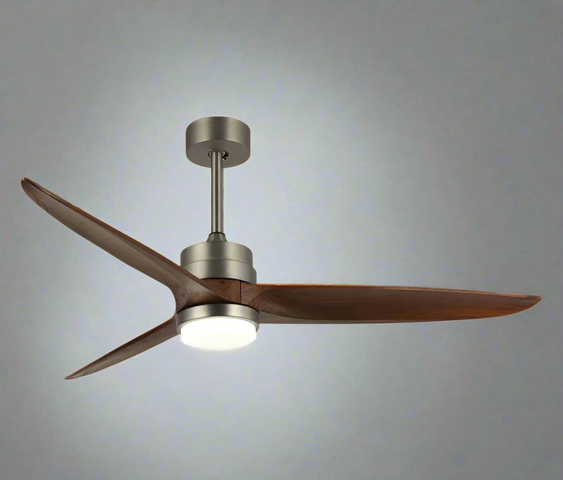 Paulgeorge | Lighted Ceiling Fan