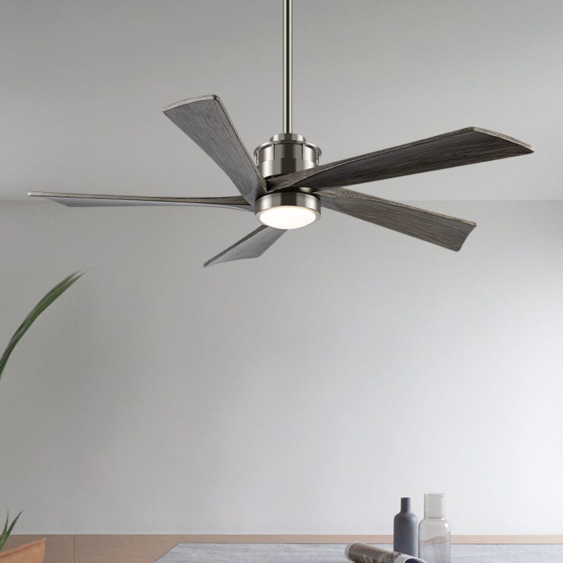 Naryn | Five Blade Ceiling Fan - Modern Five Blade Fan | HomeCartel Philippines