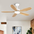 Kalispell | Five Blade Ceiling Fan