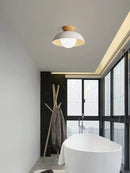 Sivia | Ceiling Mounted Light