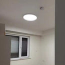 Reyn | Surface Mounted Light