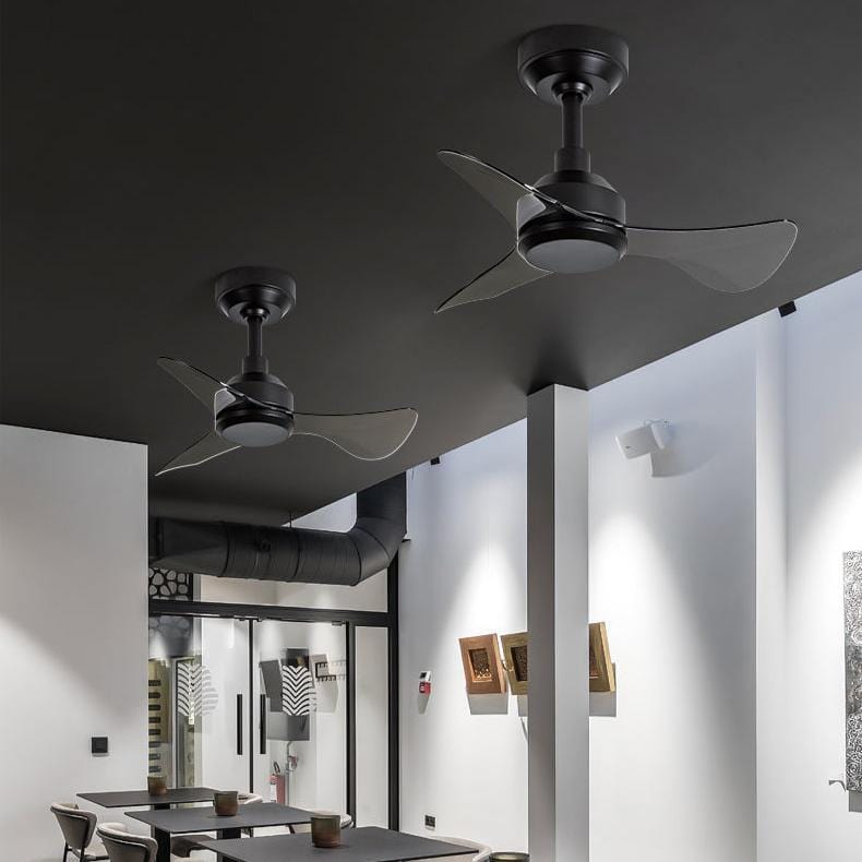 Basil | Three Blade Ceiling Fan