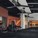 Cadotte | Low Profile Ceiling Fan