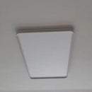 Alexis | Surface Mounted Light