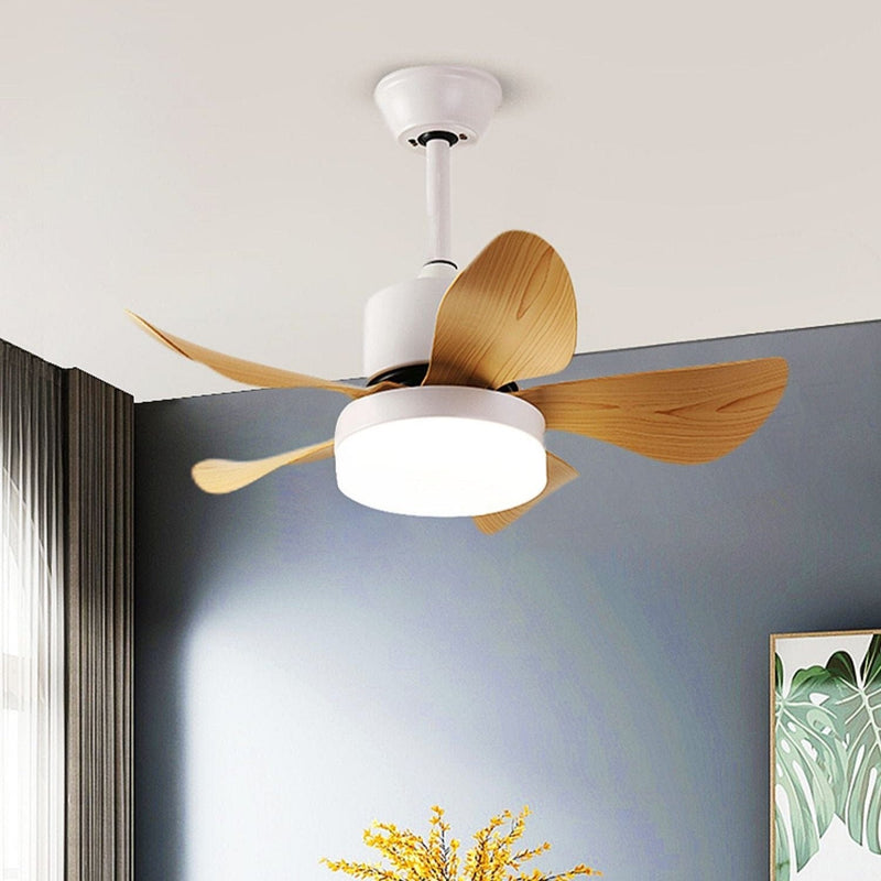 Frankel | Lighted Ceiling Fan