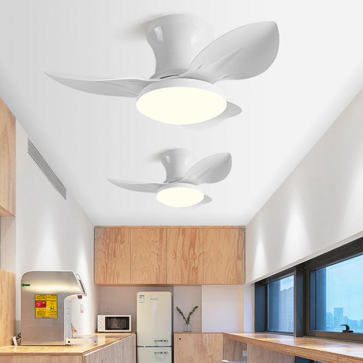 Switzerland | Lighted Ceiling Fan