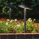 Linus | Outdoor Pathway Light