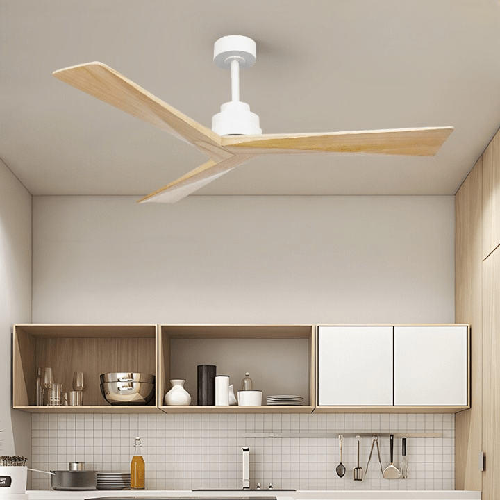 Asaye | Standard Ceiling Fan - Modern Standard Ceiling Fan | HomeCartel Philippines