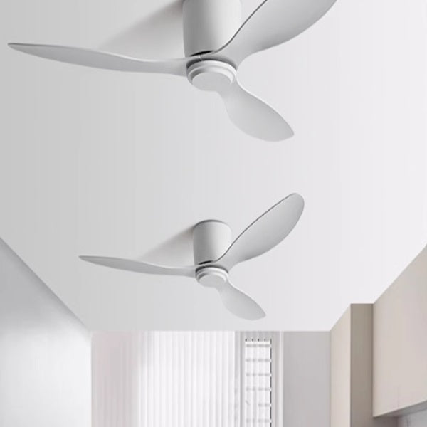 Coard | Low Profile Ceiling Fan