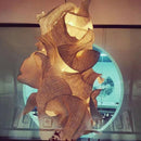 Sylvara I Cluster Chandelier