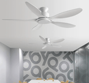 Malone | Low Profile Ceiling Fan - Home Cartel ®