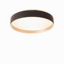 Moriwaki | Ceiling Mounted Light