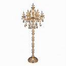 Daryntha I Crystal Floor Lamp