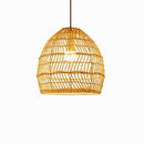 Taelweneth | Pendant Light