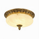 Elunyra | Ceiling Mounted Light