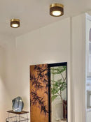 Calthorisae | Surface Mounted Light