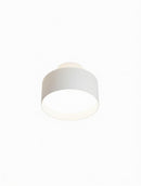 Elwynmire I Semi Flush Mounted Light
