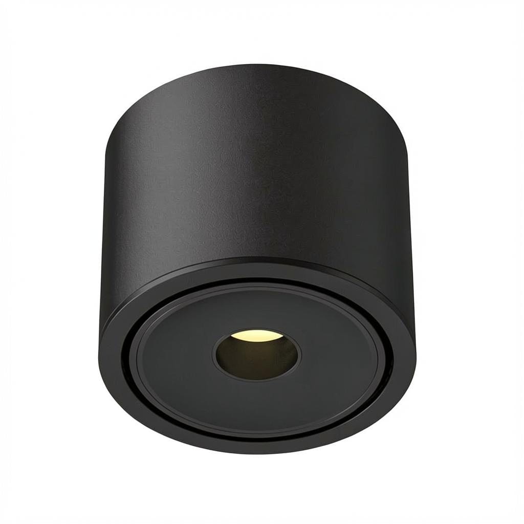 Ysolenyae Deux | Surface Mounted Light