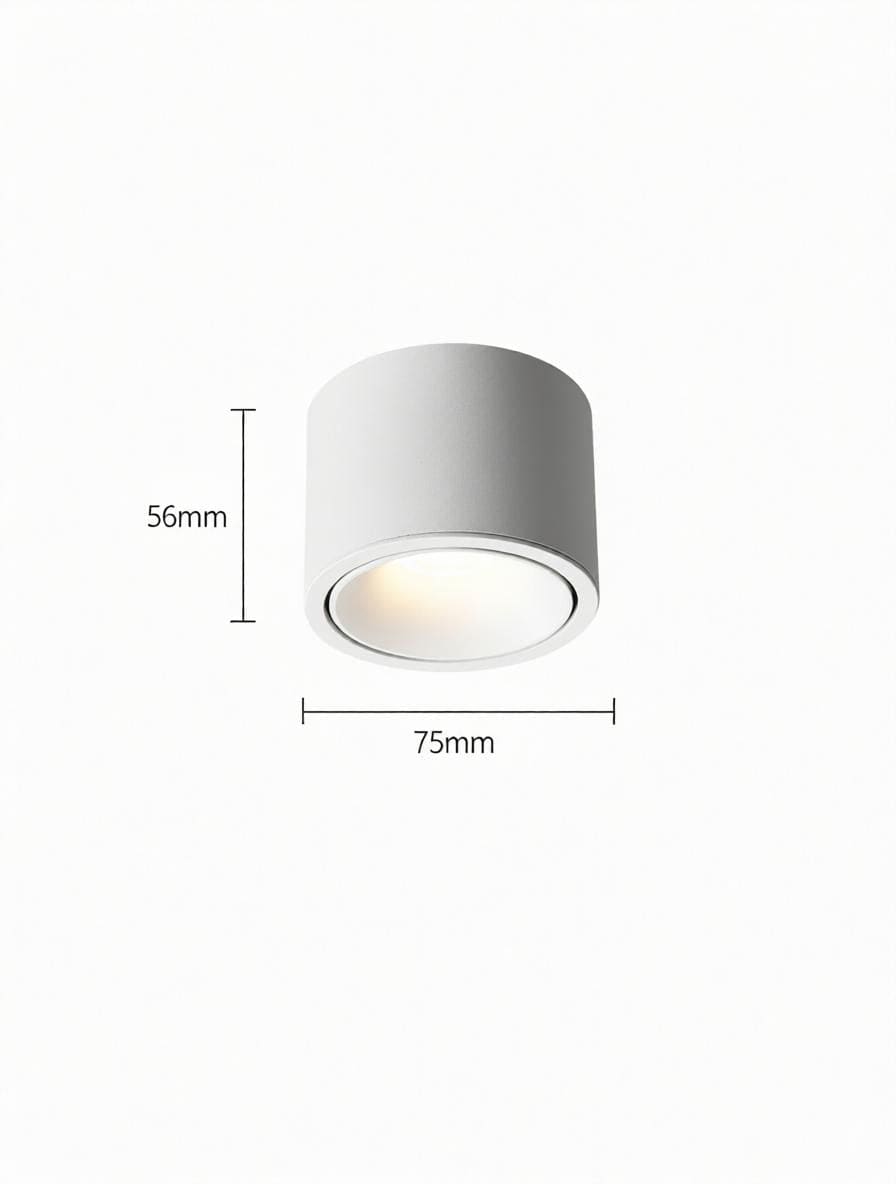 Jonvaleriae | Surface Mounted Light