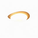 Trelisun | Ceiling Mounted Light