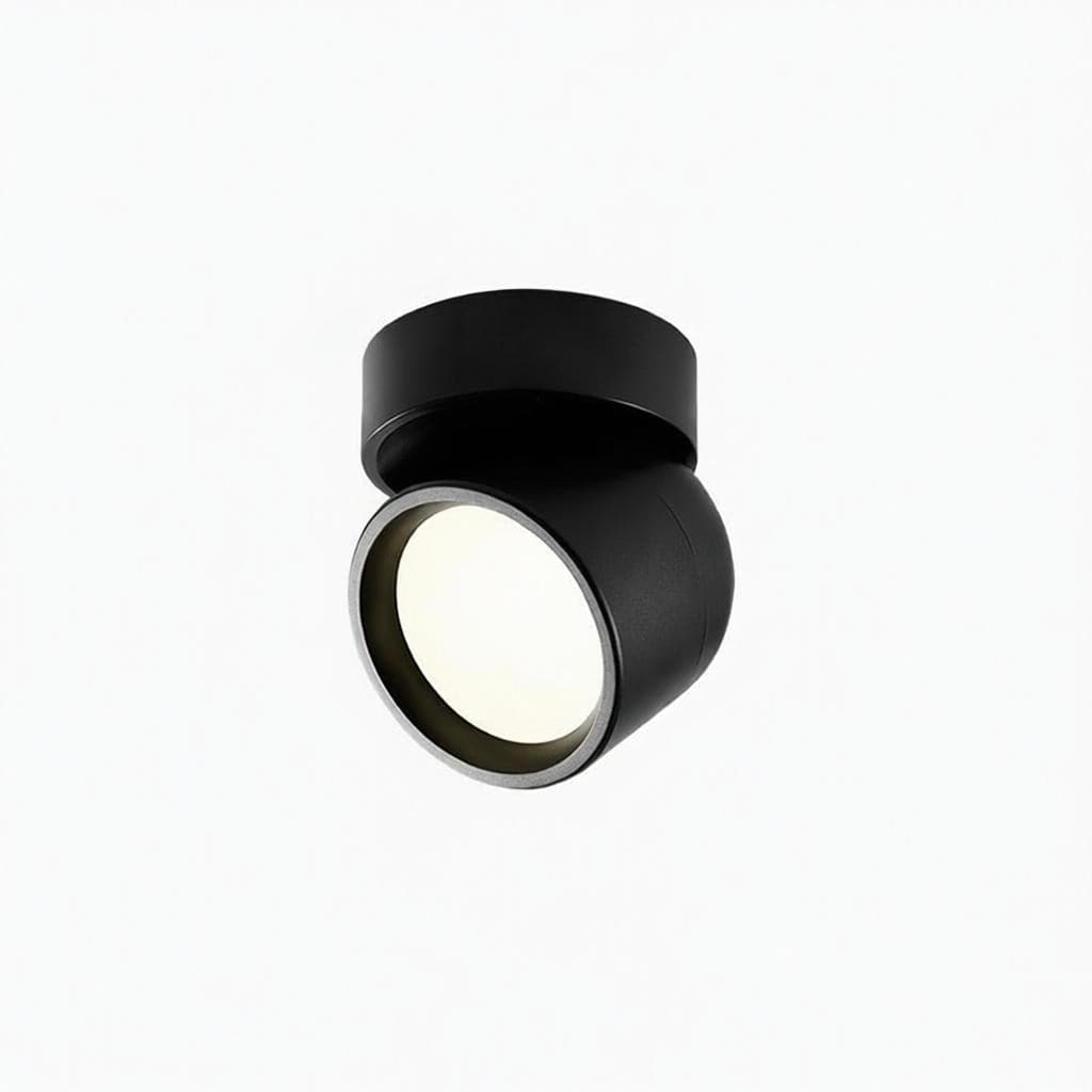 Jorvenithae | Surface Mounted Light