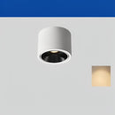 Jonvaleriae | Surface Mounted Light