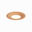 Elyvaris B | Ceiling Mounted Light
