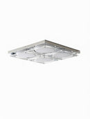 Elsande C I Ceiling Mounted Light
