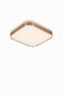 Paretti D | Ceiling Mounted Light