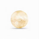 Mirenvee B | Floor Lamp