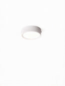 Lorvinthera | Surface Mounted Light