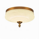 Tarnesya | Ceiling Mounted Light
