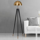Bravelyn | Floor Lamp