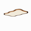 Galthara Une I Ceiling Mounted Light