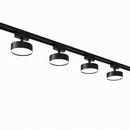 Zornelithra | Track Light