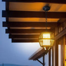 Reyneth | Outdoor Pendant Light