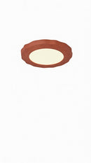 Froemke | Ceiling Mounted Light