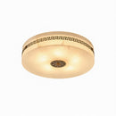 Venrionil A | Ceiling Mounted Light
