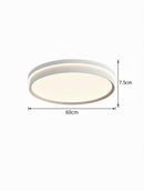 Alker Une | Ceiling Mounted Light