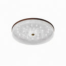 Froden | Ceiling Mounted Light