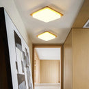 Malorien B | Ceiling Mounted Light
