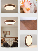 Elythara B | Ceiling Mounted Light