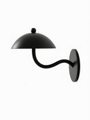 Iaelwynne I Wall Light