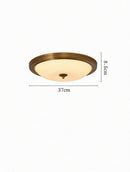 Vylenar | Ceiling Mounted Light