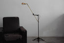 Zandaro | Floor Lamp Swing Arm